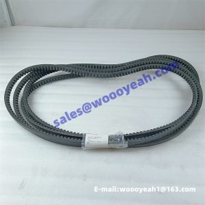 C16BB-16BB001+A 4190000536185 PS09664 P16BL025 engine belt for Shangchai C6121