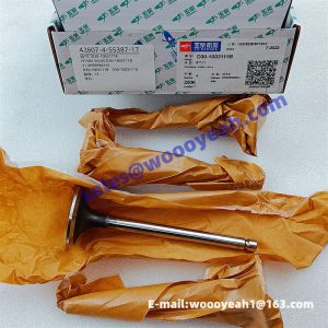 D30-1003111B D30-1003103B 4110000560145 800150904 intake exhaust valve for Yuchai