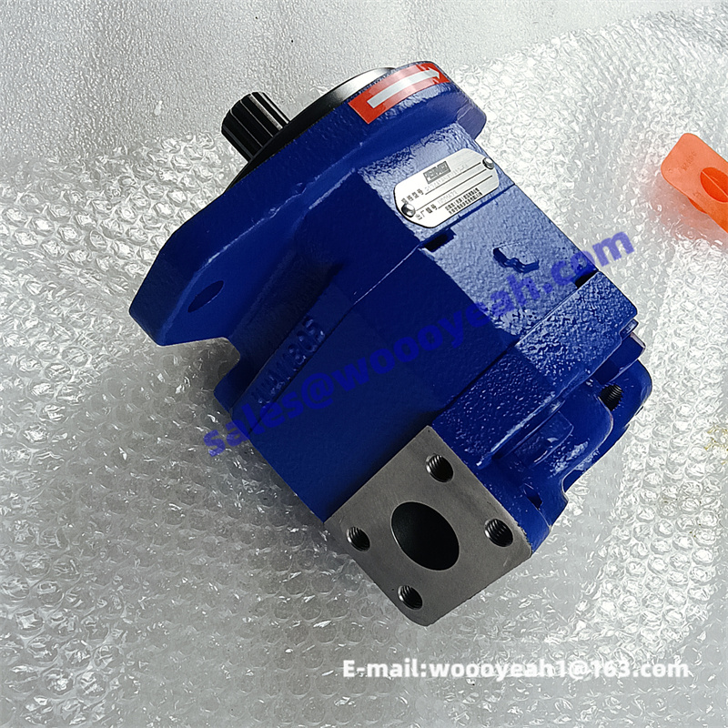 11C0605 1121011139 P124A185UDZA12-54 gear pump for Liugong