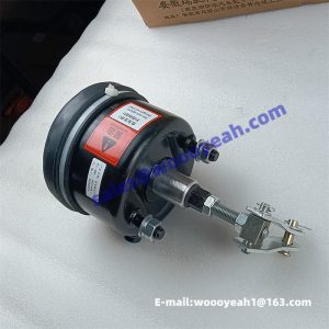 13C0009 ZL50C.13.2B brake air chamber for Liugong CLG835