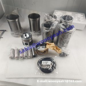 20000031193 13020377 liner kit one set for Weichai DEUTZ TD226