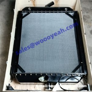 4190000558 TD226B-6G radiator assy for SDLG LG936L