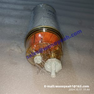 53C0104 FS1242 60405020237 fuel filter for Liugong CLG835