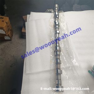 C09AL-09AL001+B 4110001003087 cam shaft assy for Shangchai C6121