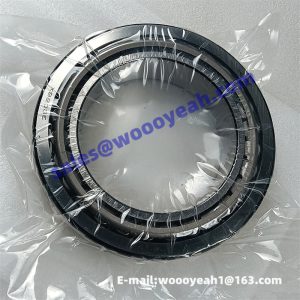 800107321 54100007 bearing for XCMG GR135