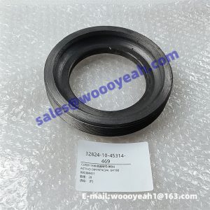 800308431 75200118 differential nut for XCMG GR215