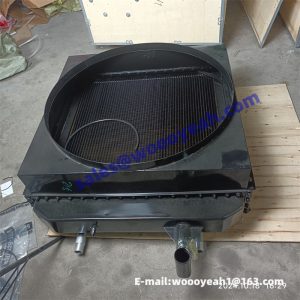 803010873 XGSX07-24 radiator assy for XCMG