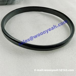 83U0001 seal ring for Liugong