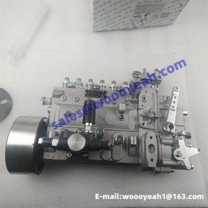 J8004-1111100-493 4933E179517 B6AD54A7 fuel injection pump for Yuchai YC6J125Z-T20