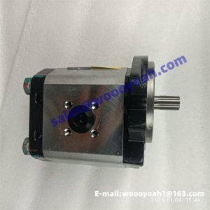 LG0160DTS2.13.02 pump for Lonking