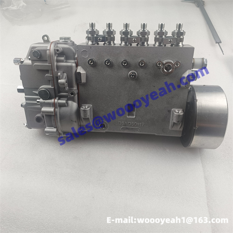 J8000-1111100A-493 4110001058066 860125443 fuel injection pump for Yuchai YC6J125Z-T20
