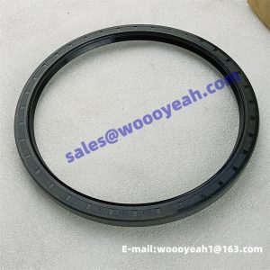 13V0180 13V0190 seal ring for Liugong