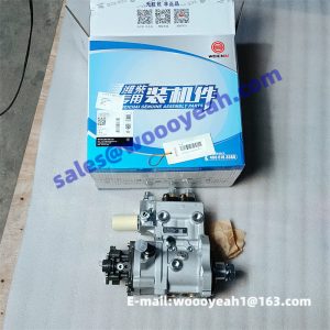 1007203440 common rail fuel injection pump for Weichai WP12