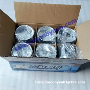 1010186082 piston for Weichai WP13