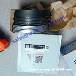1012082879 piston ring for Weichai WP13