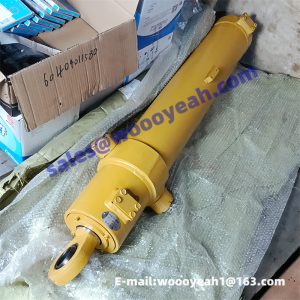 10C1083 boom lifting cylinder assy for XGMA XG955H