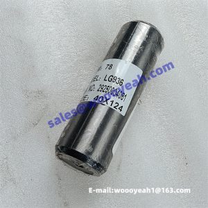 29250004081 ZL30F.11-12 LG853.10-015 front steering pin for SDLG LG936L