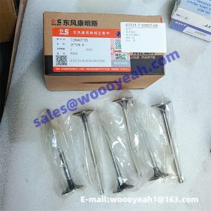 3940735 800145831 intake valve for Cummins