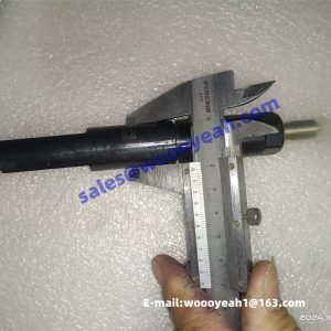 4110000054219 12270162 fuel injector for Weichai TD226B