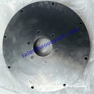 4110000190007 1YJSW315-2B-10001 24A0058 converter plate for SDLG LG936