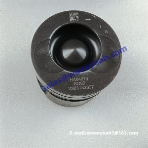 4110003492070 HA04073 piston for Yunnei