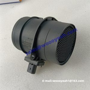 4110003492163 HA10000149 YN33CRD-110061 0281006280 air flow meter for Yunnei