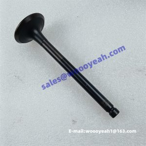 4110003492210 HA03308 exhaust valve for Yunnei