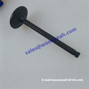4110003492212 HA03309 intake valve for Yunnei
