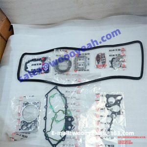 1005864931 ZJ4190704709 engine repair kit for Weichai WP13