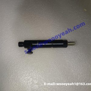 860142262 240100168646 PB84P30-110M fuel injector for XCMG LW180KV