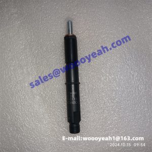 860149634 4110002196003 1112010C32E fuel injector for XCMG LW300KV
