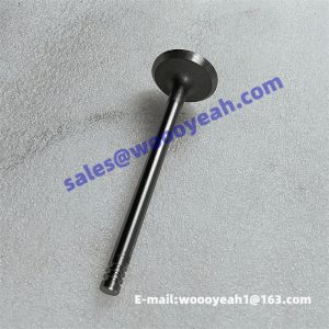 860153444 F0428 4043 exhaust valve for XCMG XT870BR