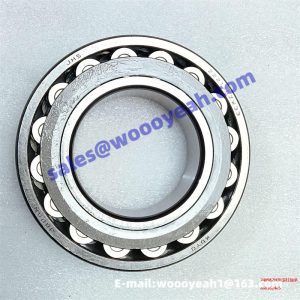860162465 240982 swing motor bearing for XCMG XE155WD