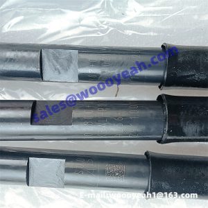 D28-001-41+A 4110000036376 PS15258 860118666 fuel injector for Shangchai D6114