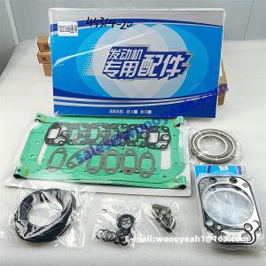 TD226B engine overhaul gasket