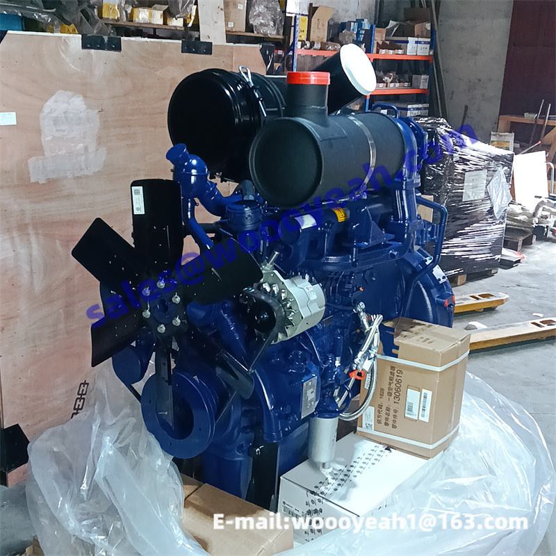 WP6G125E22 DHB06G0121 4110000991 engine assy for Weichai