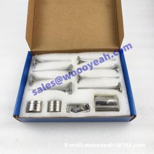 1000330923 1000615916 2105040125 valve kit one set for Weichai WP4