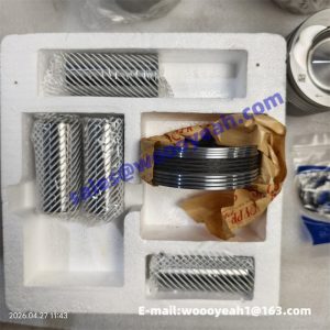 1001745518 cylinder liner kit for Weichai WP4