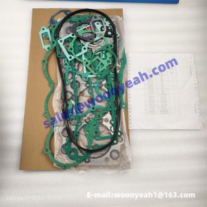 1011376757 overhauling kit one set for Weichai WP4