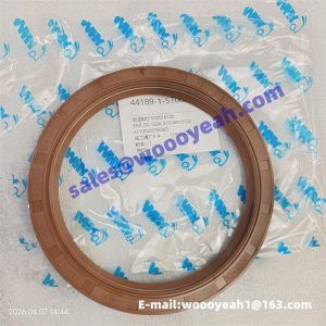 61500010100 860111797 Z00210828 rear oil seal Weichai WD615