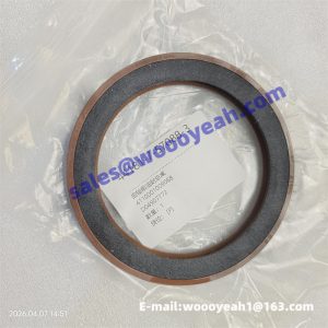 4110001009068 D04907772 shaft lip seal for SDLG G9190