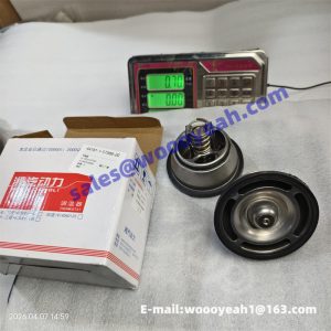 612640160090 4110003187002 thermostat for Weichai WD10