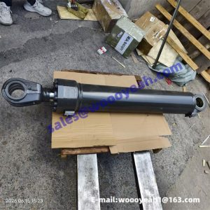 4120015737 4120006611 boom cylinder assy for SDLG L955F