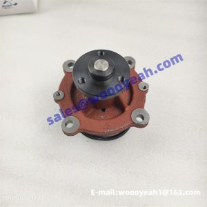 1307015A52D 4110000970109 860164083 water pump for Dachai Deutz