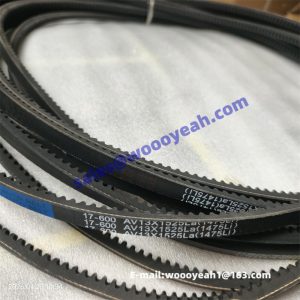 9D659-68A200001A0 17-600 compressor belt for Lovol