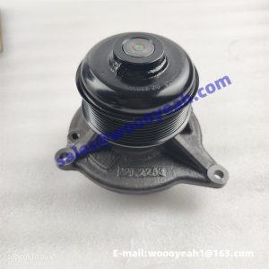 SP223685 K5000-1307100KS1 water pump for Liugong DW90A