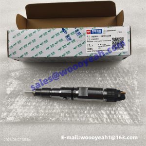 SP231899 K5000-1112100-A38 fuel injector for Liugong DW90A