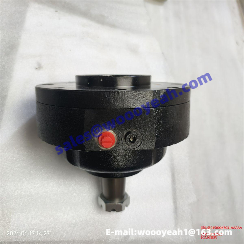 ZJ4120704616 915000K3031 brake disc for LGMG