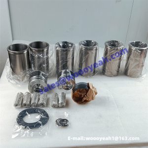 13020377 20000031193 cylinder liner kit one set for Weichai TD226B
