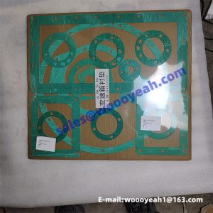 4110000038326 ZL20-030031 transmission repair kit for BS428